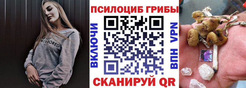 Купить где  Анапа  Галлюциногенные грибы GOLDEN TEACHER 